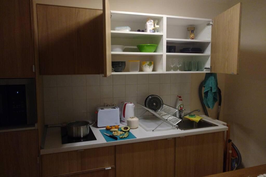 Marvelous Apartment In The Center Of プラハ エクステリア 写真