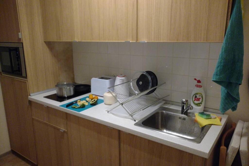 Marvelous Apartment In The Center Of プラハ エクステリア 写真